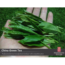 the vert de chine green tea, chinese green tea, chinese green tea supplier